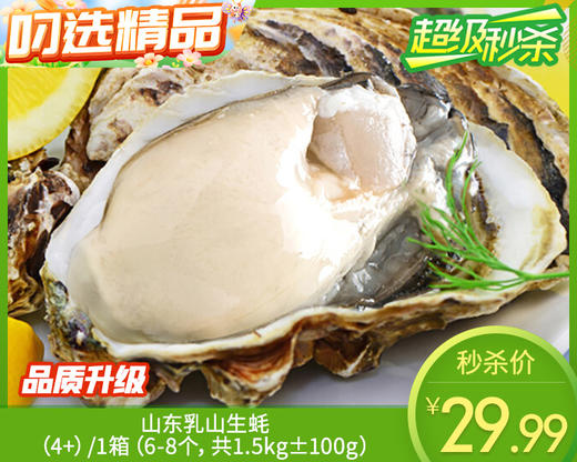 山东乳山生蚝（4+）/1箱（6-8个，共1.5kg±100g） 商品图0