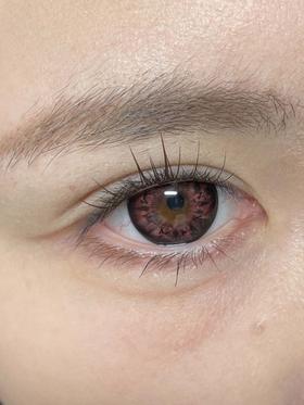 hancon 日抛（6片装）鸽血红钻 直径14.5mm着色14.3mm