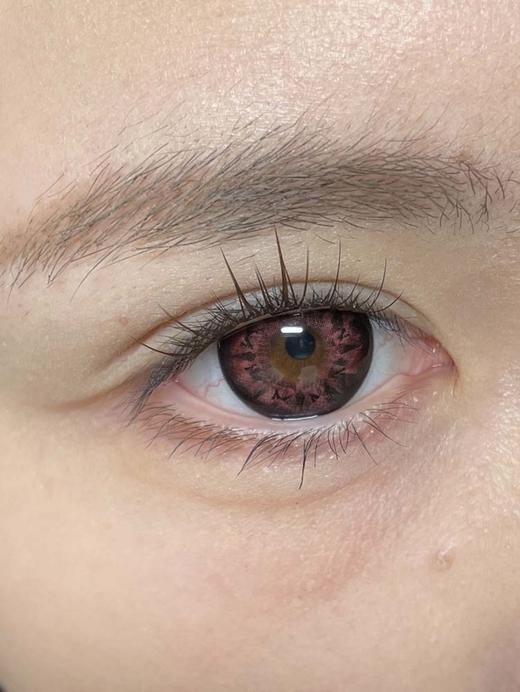 hancon 日抛（6片装）鸽血红钻 直径14.5mm着色14.3mm 商品图0