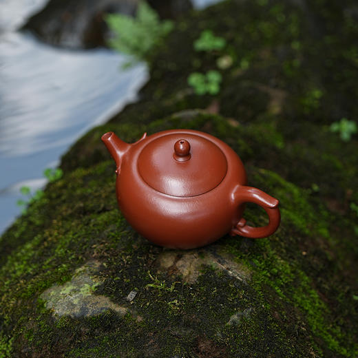 龙德堂陶艺 汤宣武 作品《合巳》原矿大红袍 180cc 库存请咨询客服 商品图2