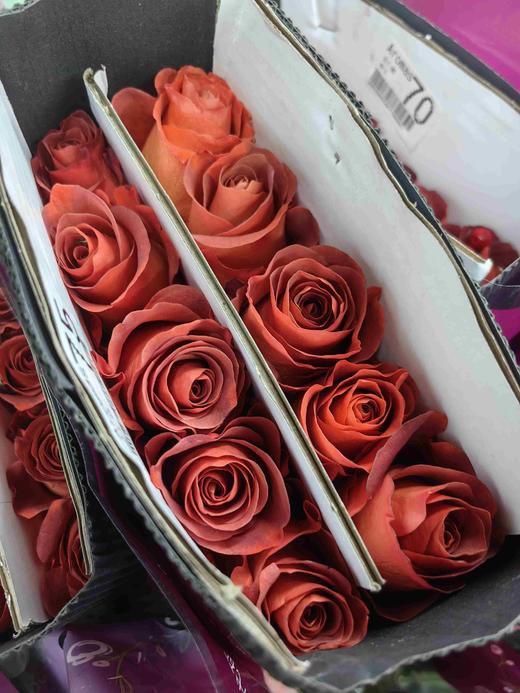 同城甄选咖啡时间玫瑰花10支 商品图6