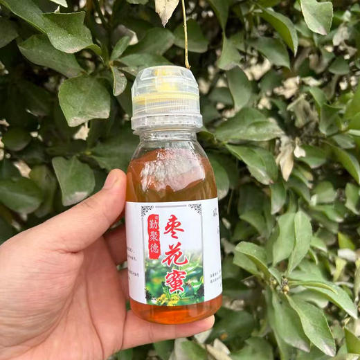 陕西米脂千年古枣花蜜｜黄河畔自然熟成，蜂蜜枣香浓郁膏体质感 商品图1