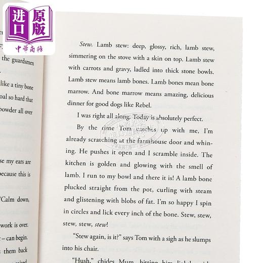【中商原版】我叫勒贝尔 水石图书奖  I Am Rebel Waterstones Children Book of Year 2024 英文原版 Ross Montgomery 商品图2