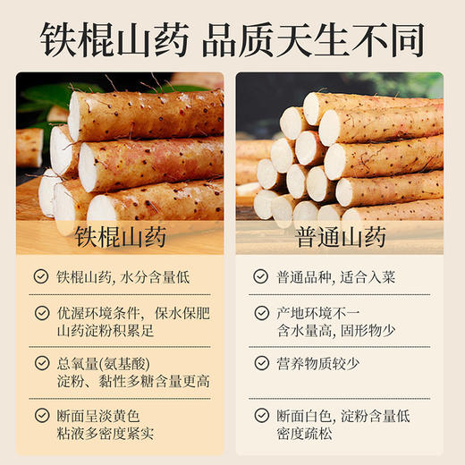 【冬季滋补】杞里香200g罐装铁棍山药片河南原产铁棍山药 商品图2