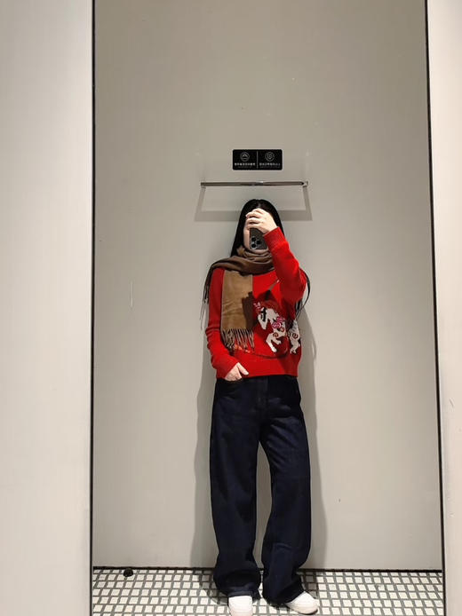 1224-1 极限特惠 ER新年系列 旋转木马提花 羊毛羊绒 圆领套头毛衣 商品图4