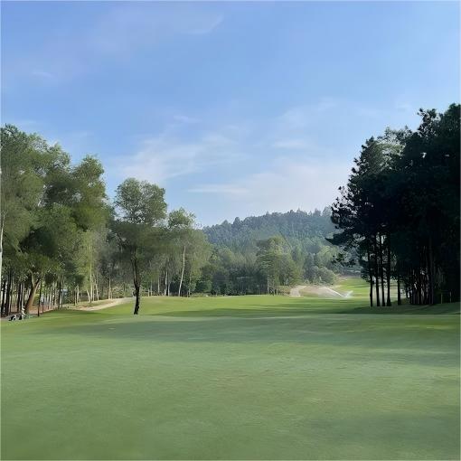 越南·戴丽高尔夫俱乐部 Dai Lai Golf Club  | 河内高尔夫球场 | 越南高尔夫球场俱乐部 | 东南亚 商品图3