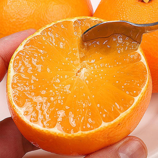 XBD象山红美人大果2.25kg礼盒装【分仓直发，72小时发货，周末节假日不发货】 商品图0