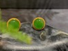 【御珠宫坊】金镶碧玉耳钉 商品缩略图3