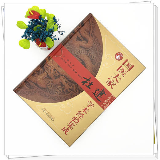 国医大家杜建学术经验集成  杜建 主编 （国医大师临床医学丛书）中国中医药出版社 中医临床 医案医话 书籍 商品图1