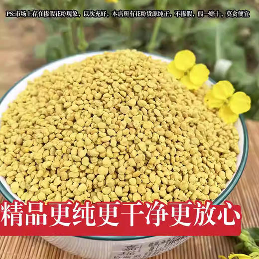 2025年新鲜采摘！青海高原油菜花粉食用蜂花粉 商品图1