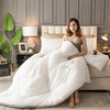 【特价清仓89元起】纯色棉花被 100%新疆长绒棉填充（不支持退换） 商品缩略图5