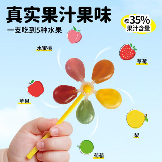 妙伯乐5果VC风车糖12g 商品图2