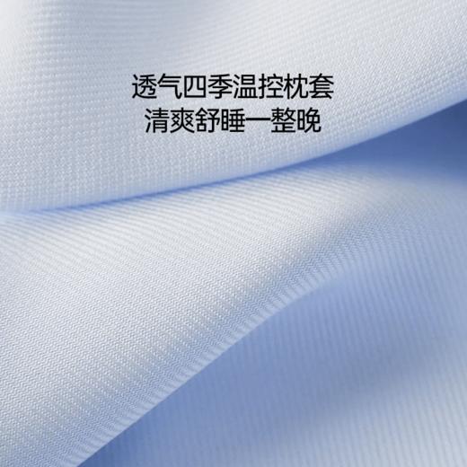 【一对】七西森睡甜糯枕  舒适硅胶枕头 不塌陷不变形 商品图5