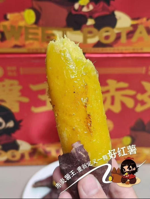 赤炎薯王地瓜4.5～5斤左右 商品图1
