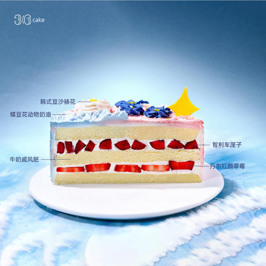 摩羯座 ∙ 海上生花 ∙ 草莓车厘子韩式裱花蛋糕，可选1.5/2.5/3.5磅-冰淇淋口味仅限深圳广州佛山可选 商品图4
