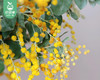 【预售-12月29日配送】金合欢花束/1扎（3-5枝） 商品缩略图1