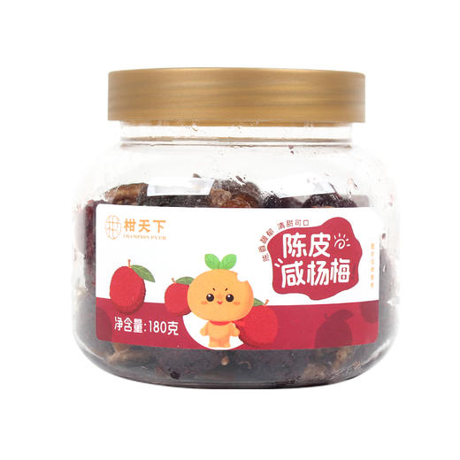 柑天下丨陈皮咸杨梅广东蜜饯凉果果脯休闲零食 商品图4