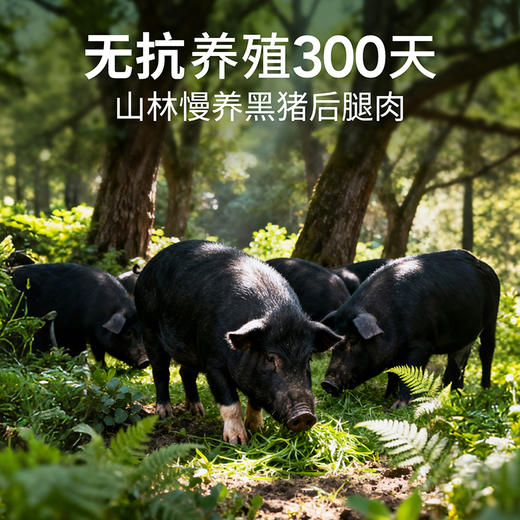 【米马团购】食味的初相 无抗黑猪午餐肉210g*1盒/2盒 商品图3
