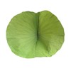 【MYXT】荷叶整张荷叶荷叶茶荷叶干荷叶荷叶 商品缩略图0