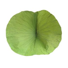 【MYXT】荷叶整张荷叶荷叶茶荷叶干荷叶荷叶