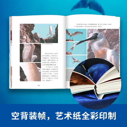 蔚蓝之境 商品图5