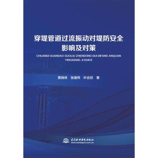 穿堤管道过流振动对堤防安全影响及对策 商品图0