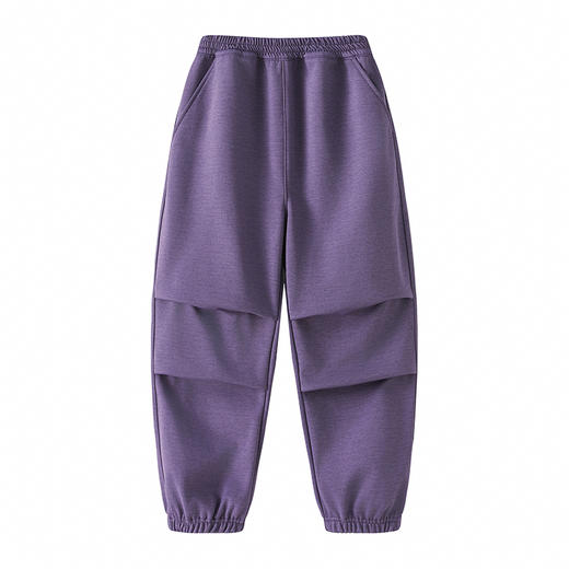 R79708加绒褶皱休闲裤 商品图2