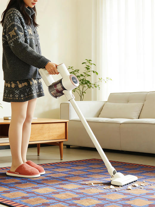 【一台搞定居家清洁】大宇无线吸尘器  是吸尘器也是除螨仪  大吸力  长续航   家用车载都好用~ 预售3-5天 商品图0