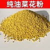 2025年新鲜采摘！青海高原油菜花粉食用蜂花粉 商品缩略图2