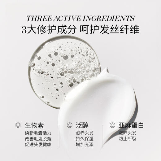 美国RevitaLash丰盈强韧洗发护发套装【郑州仓】 商品图3