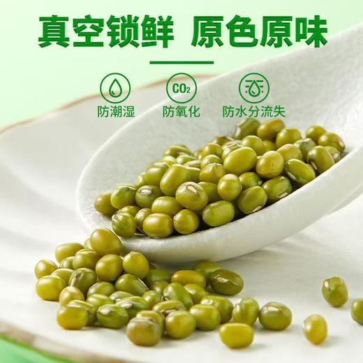【SF】绿豆   农家精品小绿豆去火解暑 商品图2