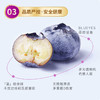 XBD蓝莓125g*6盒（18mm+）【分仓直发，72小时发货，周末节假日不发货】 商品缩略图13