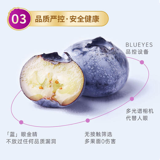 XBD蓝莓125g*6盒（18mm+）【分仓直发，72小时发货，周末节假日不发货】 商品图13