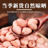 【QT】新鲜大粒花生米 精选饱满 商品缩略图2