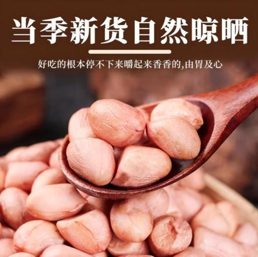 【QT】新鲜大粒花生米 精选饱满 商品图2