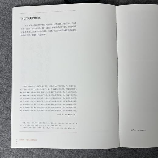 正版全新【汉字之美-中国书法审美的历程】当代书法家书论合集 商品图4