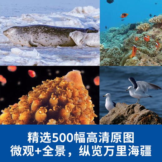 蔚蓝之境 商品图2