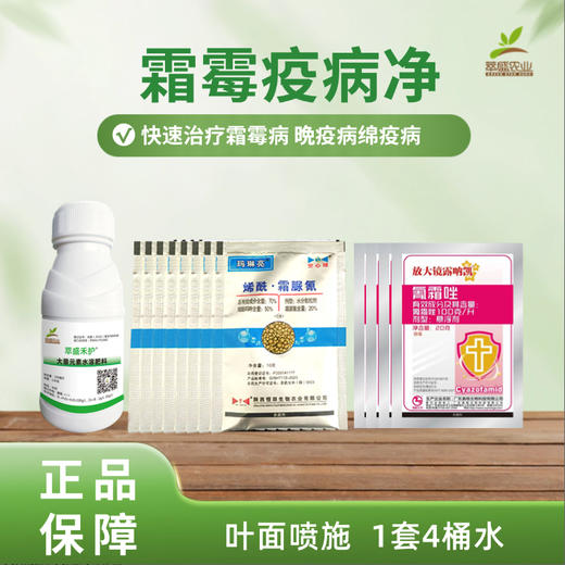 霜霉疫病净（1套4桶水） 商品图0