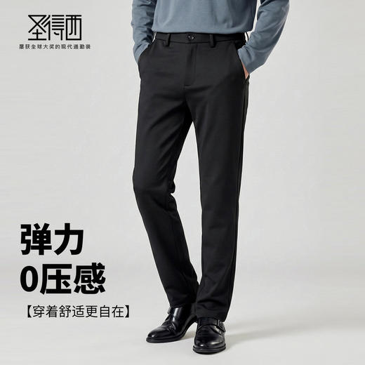 【含桑蚕丝】圣得西2025年冬季男士青年休闲裤直筒商务通勤长裤 商品图2