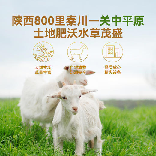 多力喜洋洋免疫qiu蛋白富硒配方羊奶粉320g/盒（20g*16袋） 商品图1