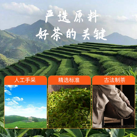 【开平优品】开平大沙茶   90g/盒（45g*2罐）【仅发广东省内】 商品图3