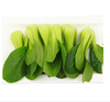 【QT】新鲜蔬菜小油菜 商品缩略图2