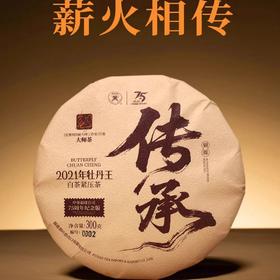 中茶蝴蝶白茶2025年出品大师茶2021牡丹王300g饼茶75周年纪念版