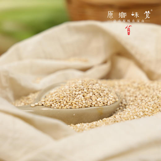 高原生态藜麦（成都仓库-顺丰快递）| 500g/袋，来自青海香日德，生产者：张德路【合作生产，公平贸易】 商品图7