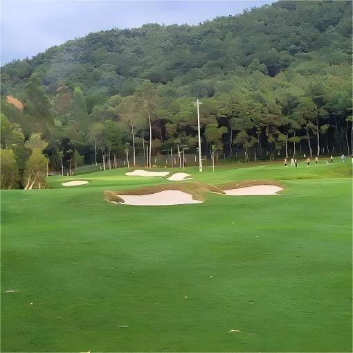 越南·戴丽高尔夫俱乐部 Dai Lai Golf Club  | 河内高尔夫球场 | 越南高尔夫球场俱乐部 | 东南亚 商品图1
