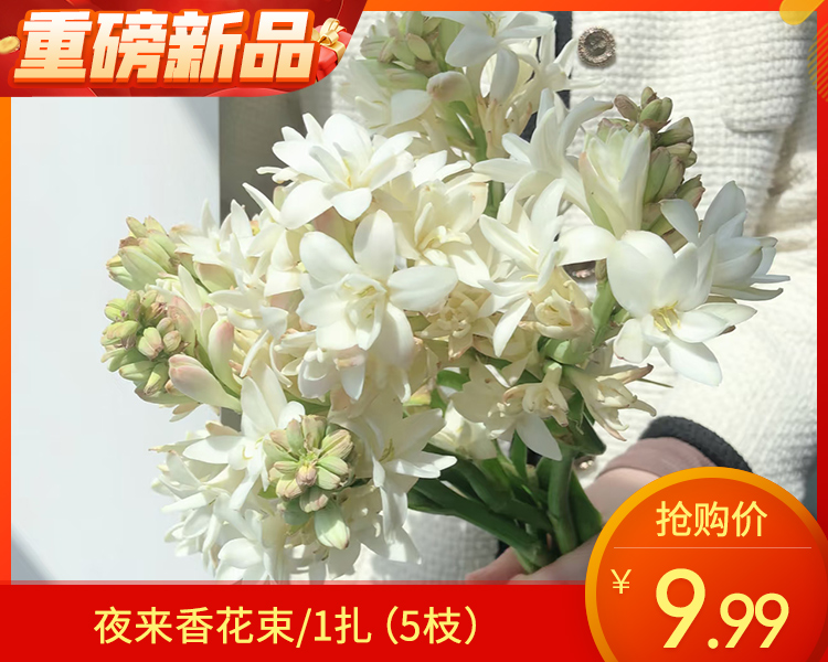 【预售-12月29日配送】夜来香花束/1扎（5枝）