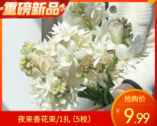 【预售-12月29日配送】夜来香花束/1扎（5枝） 商品图0