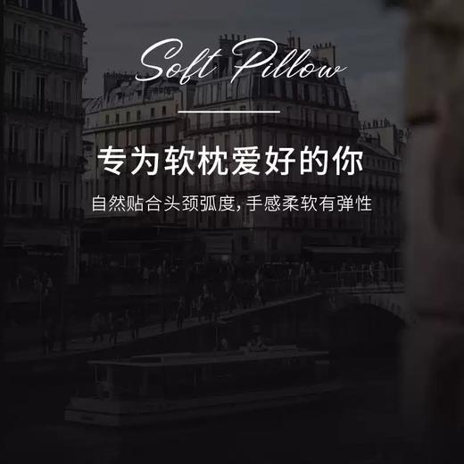 LOSIS法国露茜【菠萝枕】莱赛尔菠萝枕抗菌防螨单人护颈椎软枕枕头芯低枕可水洗 商品图3