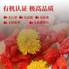 钻石红有机干枸杞130g*2罐 商品缩略图3