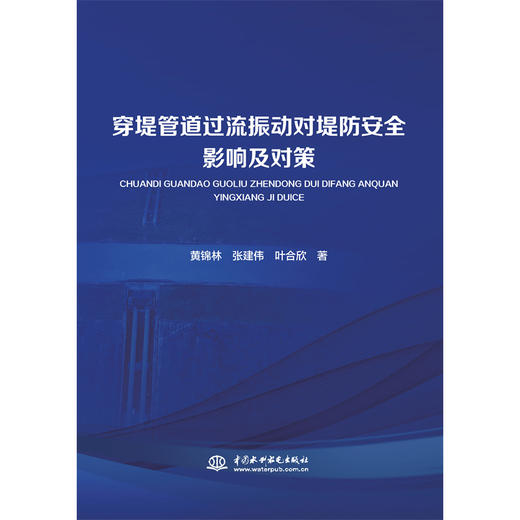 穿堤管道过流振动对堤防安全影响及对策 商品图3